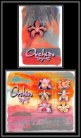 81030 Grenada Carriacou Petite Martinique Mi 3626/3631 BF N°528 Orchidées Orchid Neuf ** MNH Flowers Flower Fleurs 2001 - Orchids