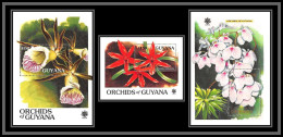81020 Guyana Guyane Y&t BF N°51/53 Orchidées Orchids Neuf ** MNH Flowers Flower Fleurs EXPO 90 Osaka Japan 1990 - Philatelic Exhibitions