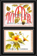 81014 St Vincent Grenadines Mi 398/399 Acalypha Queue De Chat Hibiscus Rosa Sinensis Rose China MNH Flowers Fleurs 1996 - Sonstige & Ohne Zuordnung