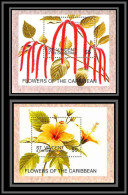 81014 St Vincent Grenadines Mi 398/399 Acalypha Queue De Chat Hibiscus Rosa Sinensis Rose China MNH Flowers Fleurs 1996 - St.Vincent Und Die Grenadinen