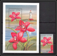 81006B Sierra Leone Y&t BF N°301 +Timbre Cymbidium Lucifer Orchidées Orchids TB Neuf ** MNH Fleur Flowers Fleurs 1996 - Sierra Leone (1961-...)