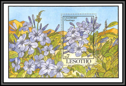 81003 Lesotho Y&t BF N°104 Leadwort Plumbago Dentelaire TB Neuf ** MNH Fleur Flowers Flower Fleurs 1993 - Sonstige & Ohne Zuordnung