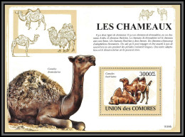 80964 Comores Y&t BF N°154 Camelus Dromedarius Bactrianus Dromadaire Dromadery Chameaux Camels Camel ** MNH 2009  - Comoros