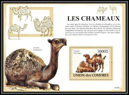 80964 Comores Y&t BF N°154 Camelus Dromedarius Bactrianus Dromadaire Dromadery Chameaux Camels Camel ** MNH 2009  - Autres & Non Classés
