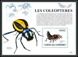 80965 Comores Y&t BF N°152 Onymacris Unguicularis Coléoptères Staphylinus Olens Beetles Insectes Insects ** MNH 2009  - Comoros