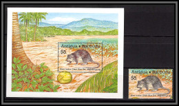 80962b Antigua & Barbuda Y&t BF N°162 Mi 164 + Timbre West Indies Giant Rice Rat ** MNH 1989 - Rodents