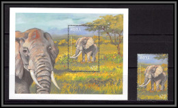 80961b Angola Y&t BF N°78 Mi 84 + Timbre éléphant Elefante Africano Loxodonta Africana ** MNH 2000 - Elephants