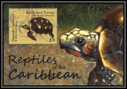 80955 Grenada Carriacou Petite Martinique Mi BF N°656 Tortues Tortue Turtle Turtles Reptiles ** MNH 2012 - Grenade (1974-...)