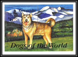 80951 Grenada Mi BF N°327 Alaskan Malamute Alaska Chien Chiens Dod Dogs TB Neuf ** MNH Animaux Animals 1993 - Chiens