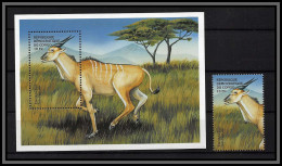 80935a Congo Y&t N°B 66 G + Timbre Elan Du Cap Taurotragus Oryx TB Neuf ** MNH Animaux Animals Cote 20 Euros 1999 - Autres & Non Classés