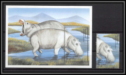 80928a Congo Mi BF N°201 + Timbre Hippopotames Hippopotamus Hippopotame Neuf ** MNH Animaux Animals 2000 Cote 20 Euros - Sonstige & Ohne Zuordnung