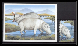 80928a Congo Mi BF N°201 + Timbre Hippopotames Hippopotamus Hippopotame Neuf ** MNH Animaux Animals 2000 Cote 20 Euros - Ungebraucht