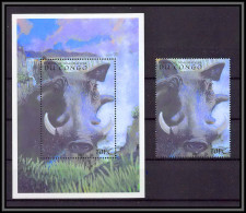 80921b Congo Mi BF N°86 Phacochère Warthog TB Neuf ** MNH Animaux Animals 2000 + Timbre - Ungebraucht