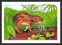 80918 Guyana Mi BF N°245 Y&t 117 Cuniculus Paca Rongeur TB Neuf ** MNH Animaux Animals 1993 - Guyane (1966-...)