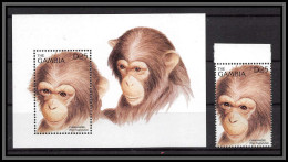 80907 Gambia Gambie Mi BF N°282 Chimpanzee Chimpanzés Singes Ape Apes Monkeys TB Neuf ** MNH Animaux Animals 1996 - Chimpancés