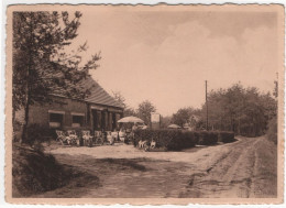 Halle - St-Martinushoeve - Autres & Non Classés