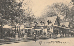 4937 65 Bruxelles,  Bois De La Cambre Ravin Et Pont Rustique.  - Forêts, Parcs, Jardins