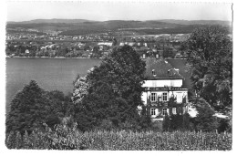 Suisse -  Schloss Arenenberg  Mit Insel Reichenau - Otros & Sin Clasificación