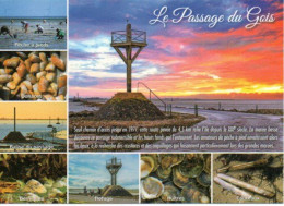 85 Ile De Noirmoutier - La Pêche à Pied Au Passage Du Gois, Huîtres, Coquillages - Editions JACK N° 157 - Ile De Noirmoutier