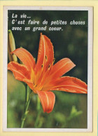 Fleurs : Une Fleur Ensoleillée / Citation (voir Scan Recto/verso) - Flowers