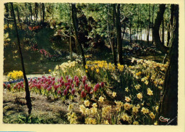 Fleurs : Un Coin Fleuri Du Parc De LA TRANCHE-sur-MER / CPSM (voir Scan Recto/verso) - Flowers