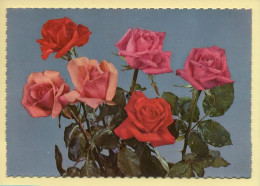 Fleurs : Roses / CPSM (voir Scan Recto/verso) - Blumen