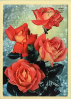Fleurs : Roses / Bonne Fête (voir Scan Recto/verso) - Blumen