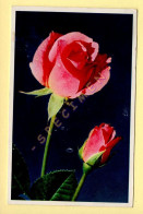 Fleurs : ROSES (voir Scan Recto/verso) - Flowers