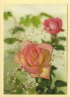 Fleurs : Roses (voir Scan Recto/verso) - Flowers