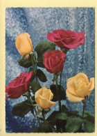 Fleurs : Roses (voir Scan Recto/verso) - Blumen