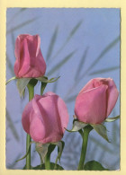 Fleurs : Roses (voir Scan Recto/verso) - Flowers