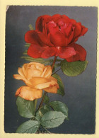 Fleurs : Roses (voir Scan Recto/verso) - Flowers