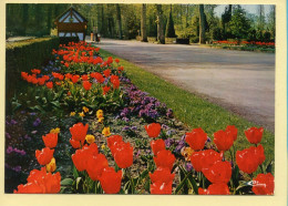 Fleurs : Parc Floral De La Source / L'entrée Du Parc / Les Tulipes / ORLEANS (voir Scan Recto/verso) - Flowers