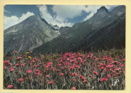 Fleurs : Paysage De Montagne / Prestige Vanoise (voir Scan Recto/verso) - Blumen