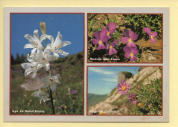 Fleurs : Lys De Saint-Bruno / Pensée Des Alpes / Aster Des Alpes / 3 Vues (voir Scan Recto/verso) - Blumen