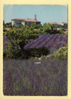 Fleurs : Le Temps De La Lavande (voir Scan Recto/verso) - Flowers