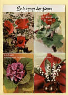 Fleurs : Le Langage Des Fleurs / 4 Vues (voir Scan Recto/verso) - Flowers