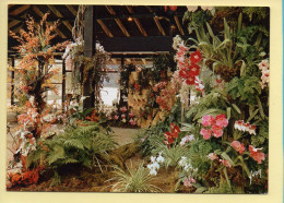 Fleurs : Floralies Internationales Paris 1969 / N°13 (voir Scan Recto/verso) - Flowers