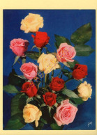 Fleurs : JOLIES ROSES DE FRANCE - Grand Format 19,8 X 15 Cm (voir Scan Recto/verso) - Fleurs