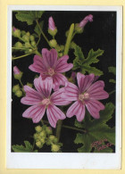 Fleurs : Grande Mauve (voir Scan Recto/verso) - Blumen