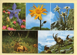 Fleurs : Flore Et Faune De Nos Montagnes / Multivues (voir Scan Recto/verso) - Fleurs