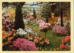 Fleurs : Floralies Internationales Paris 1969 / N°10 (voir Scan Recto/verso) - Fleurs
