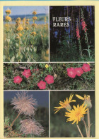 Fleurs : Fleurs Rares / Multivues (voir Scan Recto/verso) - Fleurs