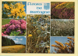 Fleurs : Fleurs De Bretagne / Multivues / Blason (voir Scan Recto/verso) - Fleurs