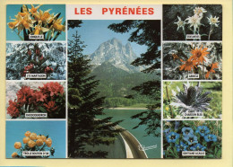 Fleurs : Fleurs Des Pyrénées / Multivues (voir Scan Recto/verso) - Fleurs