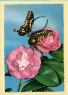 Fleurs : Fleurs / Papillon / CPSM (voir Scan Recto/verso) - Fleurs