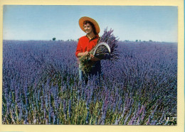 Fleurs : Fleurs / Champ De Lavande (animée) (voir Scan Recto/verso) - Flowers