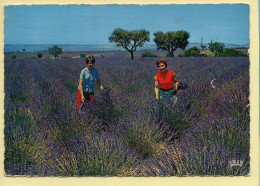 Fleurs : Cueillette De La Lavande (animée) CPSM (voir Scan Recto/verso) - Fleurs