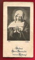 Image Pieuse Ed KJM 13611 Sülses Herz Maria Fei Meine Rettung - Doux Cœur Marie Fête Mon Salut - Au Dos = Louise Kern - Devotion Images