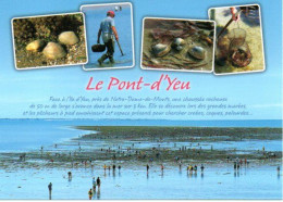 85 Le Pont-d'Yeu - Pêche à Pied. Crabes, Coques, Palourdes - Editions JACK N° 2431 - Ile D'Yeu